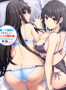 [studio A (稲鳴四季)] 雪ノ下姉妹といやらしい二人の秘め事。 (やはり俺の青春ラブコメはまちがっている。) [中国翻訳] [DL版]