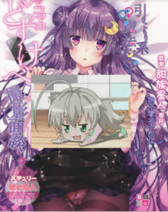 (C91) [せとらん (イトウせと、タンノらん)] 引きこもり系魔法使いのパコパコどすけべ撮影面談 (東方Project) [甜族星人x我不看本子个人汉化]